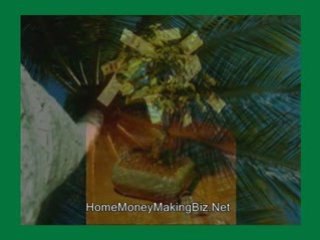 What is a Good Home Money Making Business Opportunity ?