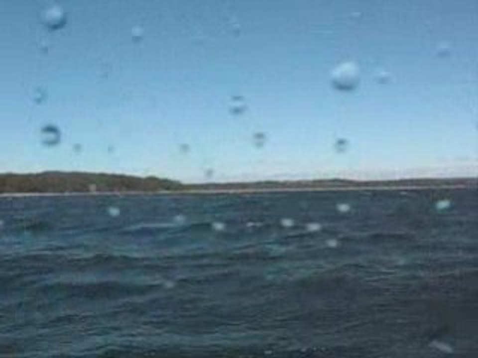 Kayaking with humpback whales