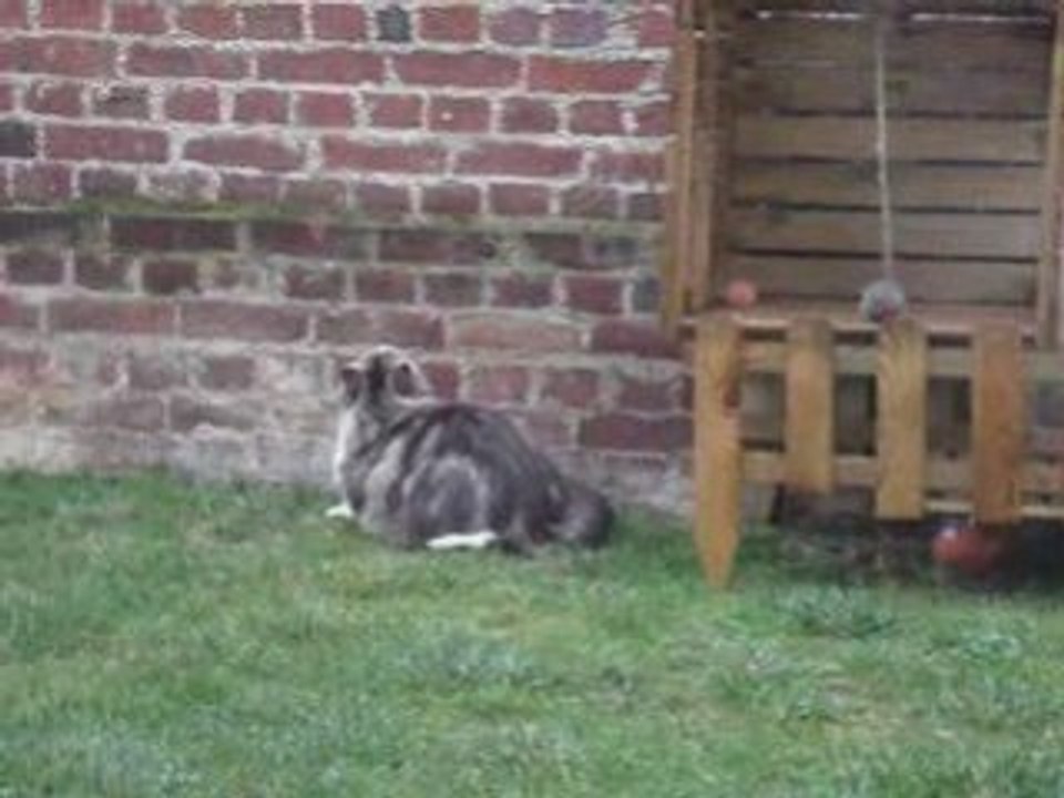 Chasse aux gouttes d'eau