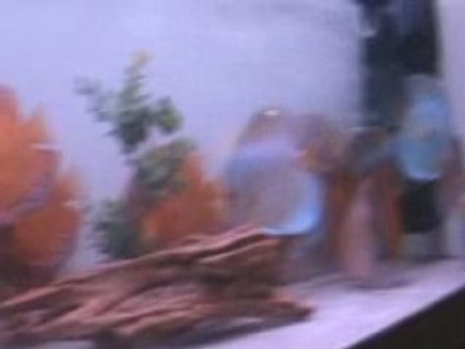 DİSKUS MARKT STANDI