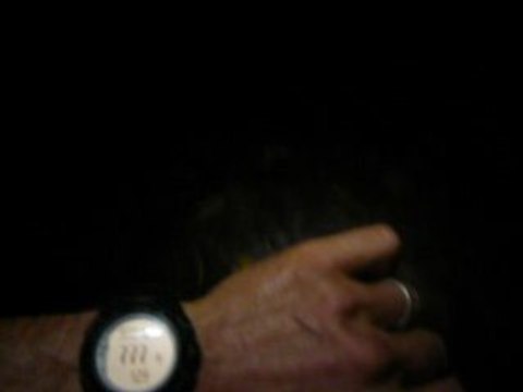 GRR 2008 - Montée à Foc Foc