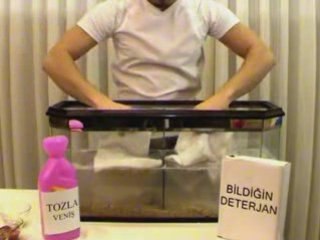 batesmotelpro - brozak 2