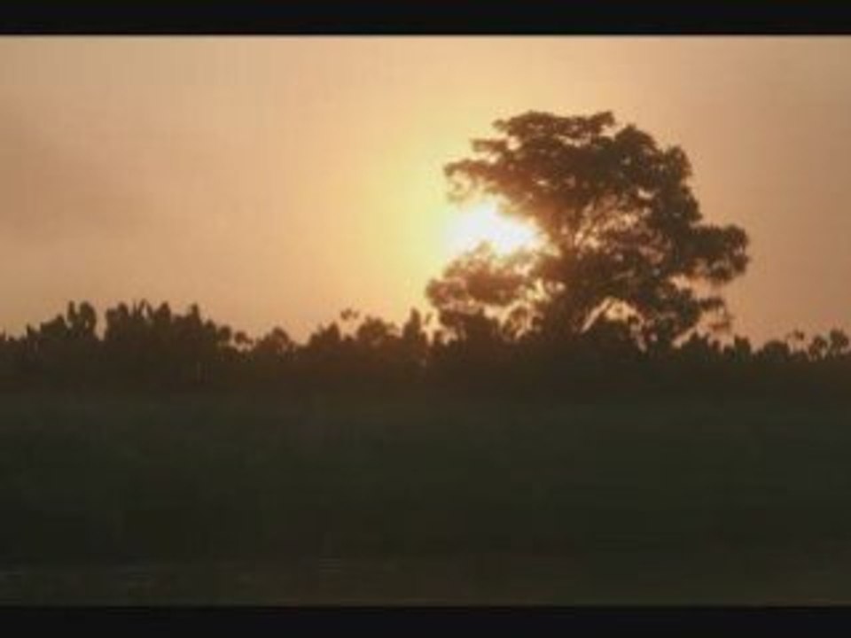 Voyage en Guyane - Les Marais de Kaw