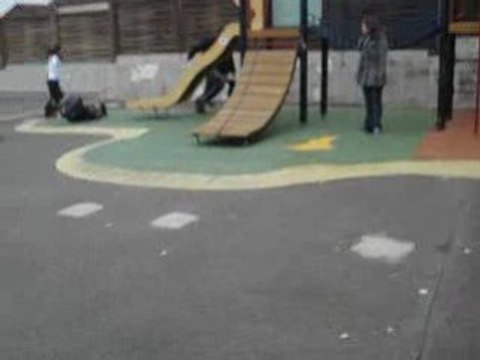 Bafa 2008 Villebon sur Yvette: Le chat tortue