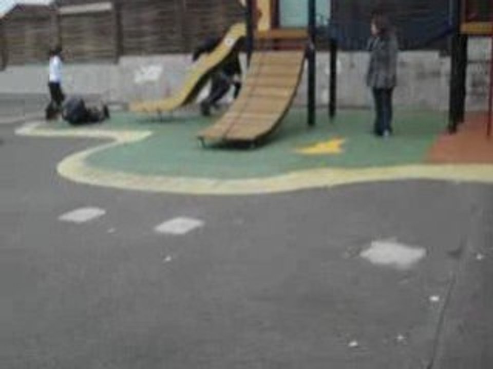 Bafa 2008 Villebon sur Yvette: Le chat tortue