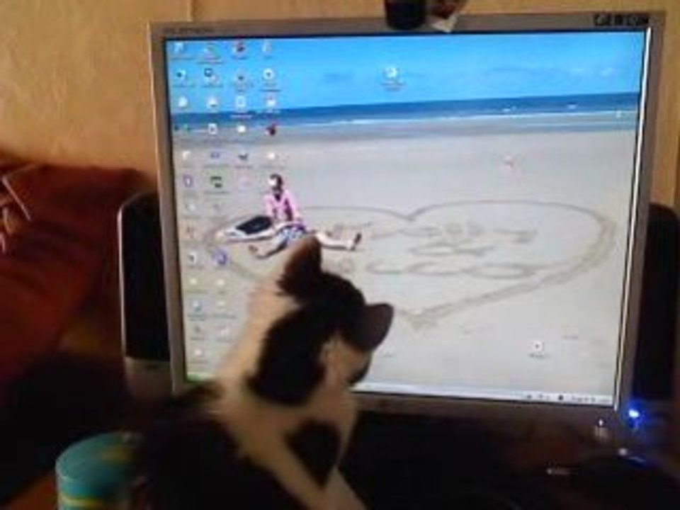 Ma chatte   partie 1