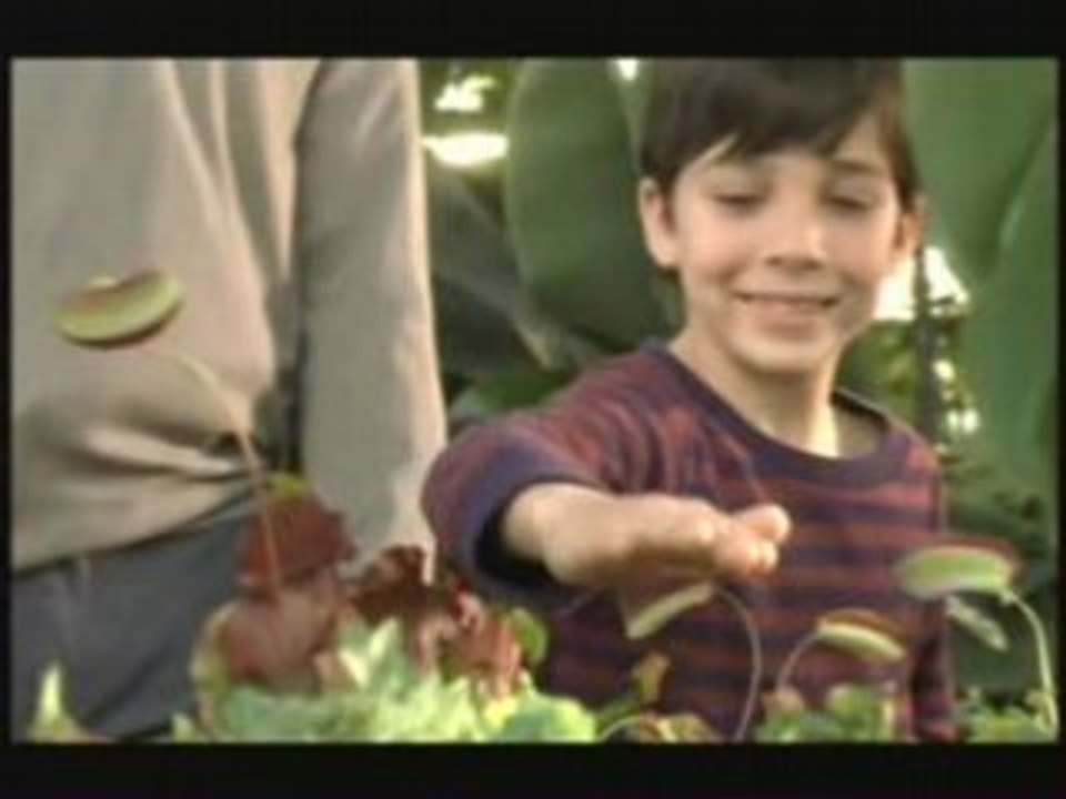 Pub BMW Série 3  pub 2008