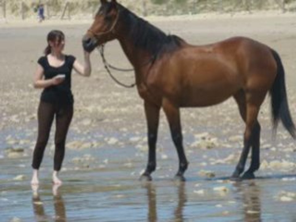 Gitane plage