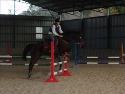 cOncOurs samedi 1er nOvembre 2008