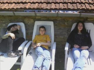 Cohons