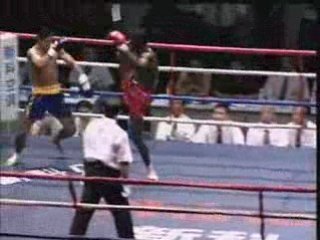 Kung fu vs boxe thai