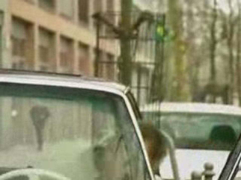 ZDF WISO ermittelt über Privileg Massivhaus