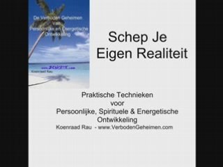 THE SECRET LAW OF ATTRACTION OM JE EIGEN LEVEN TE SCHEPPEN