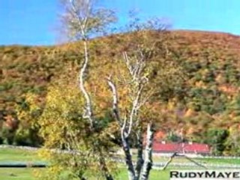 Fall in New Hampshire