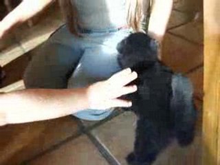 Darling de la prairie d'éole