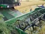 john deere 1174 S II rice harvesting