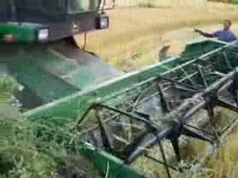 john deere 1174 S II rice harvesting
