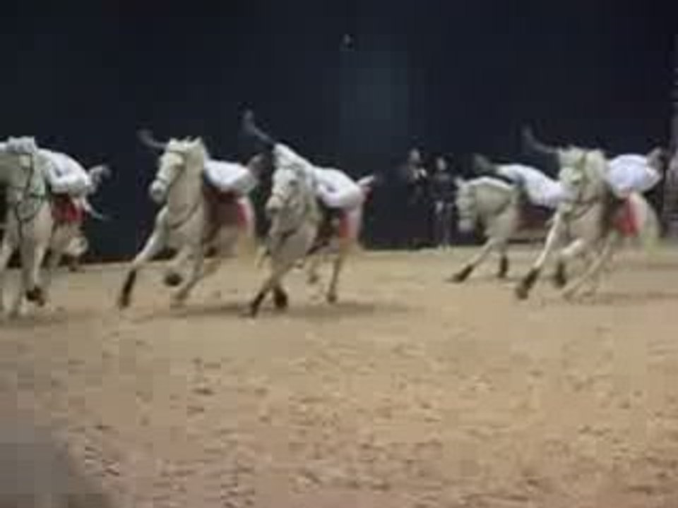 Equita'Lyon 2008 - Cavaliers Voltigeurs de Provence