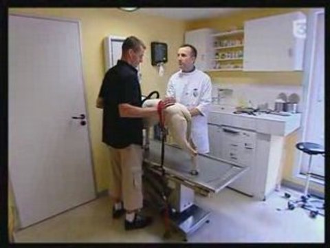 Video 30 million d'amis dog skate