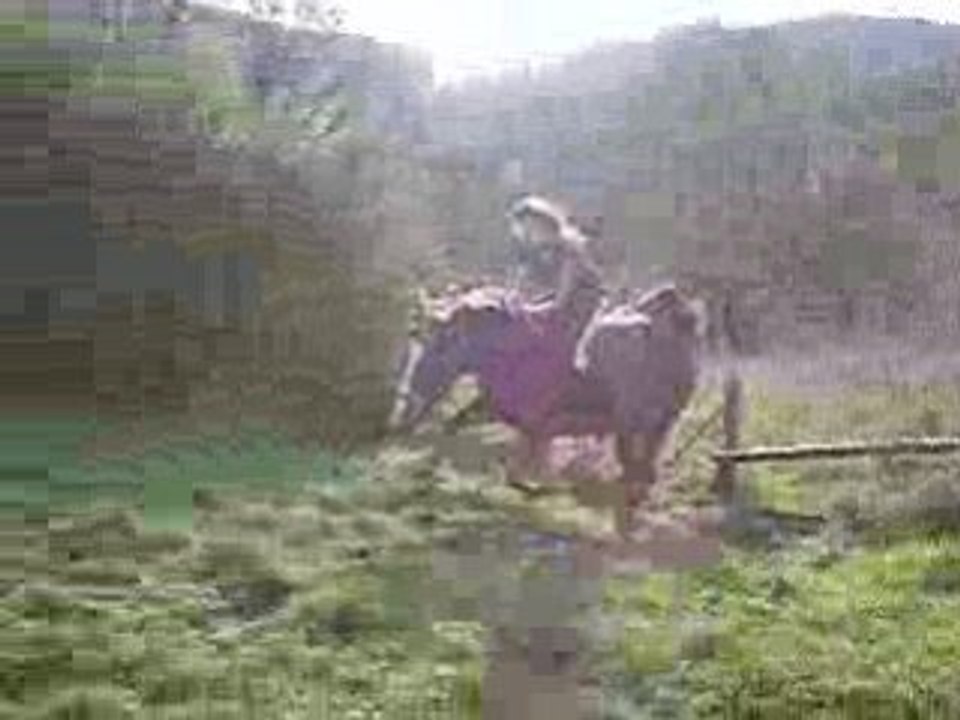 PB030006