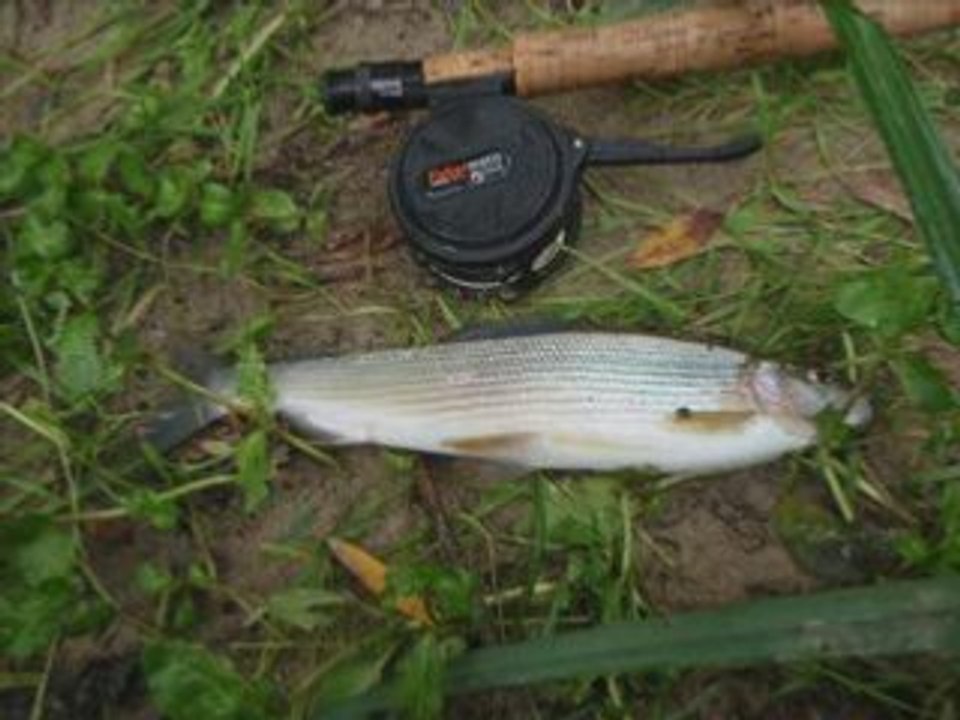 Peche en septembre_0002
