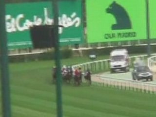 2008 (423) PREMIO CRUZCAMPO (CATEGORIA C) (GREAT ORATOR)