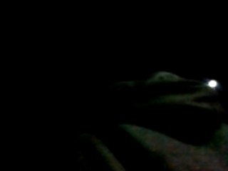 Vid-o0079 - Coupe du monde de la quiche