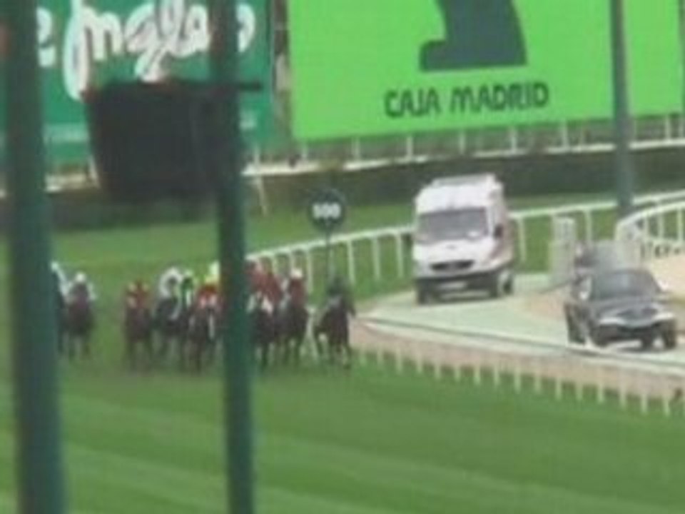 2008 (425) Premio Bang & Olufsen (H) (LISSELAN RIGHTCALL)