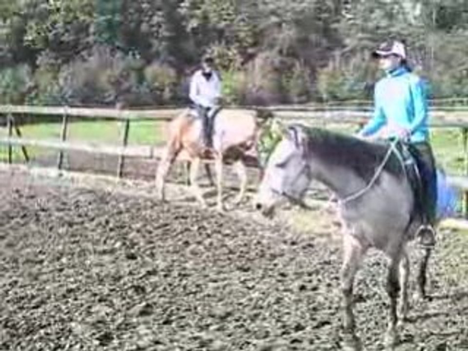 CLIP0013