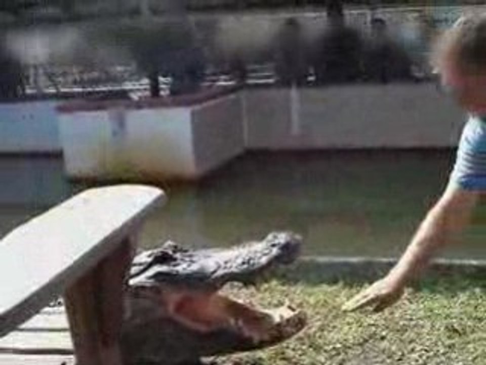 Régis au zoo: il joue avec un croco !