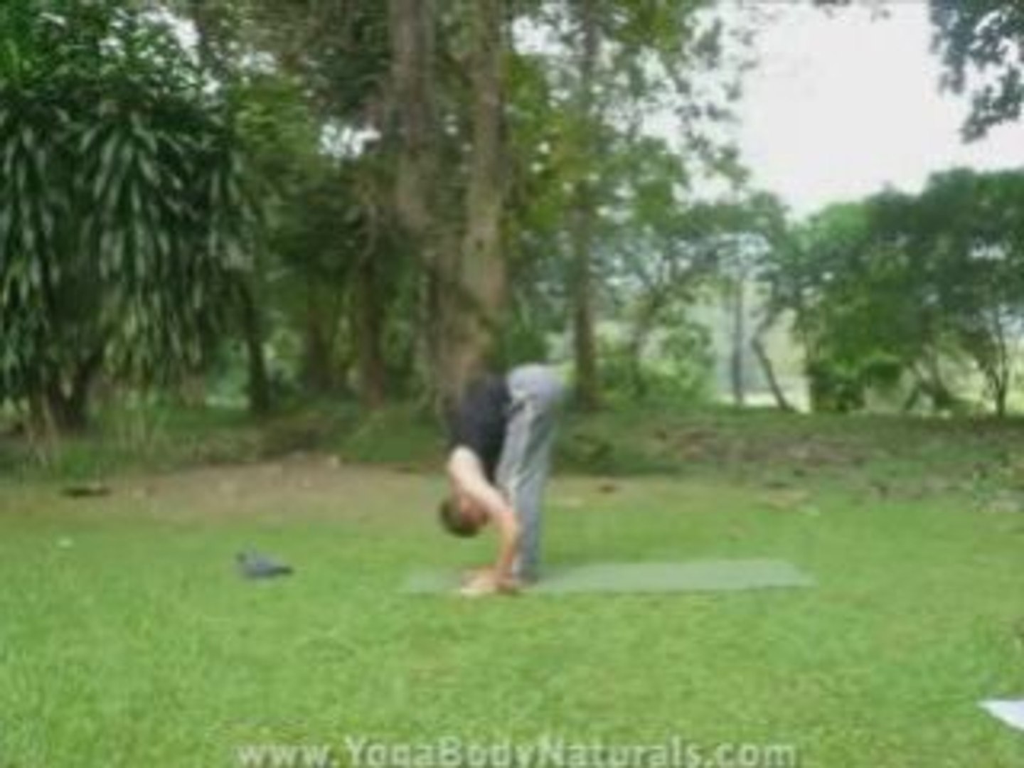 Daft YOGA: Yoga Video
