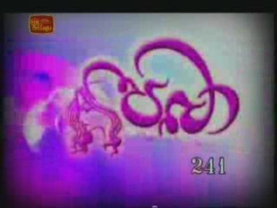 paba  241 (03/11/2008)