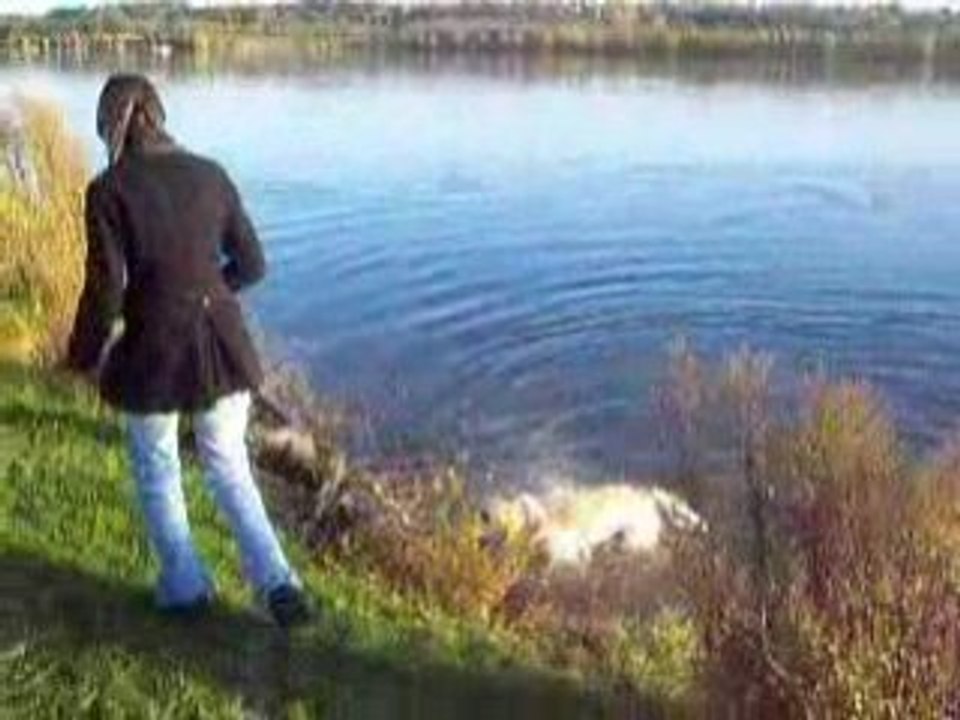 Au lac