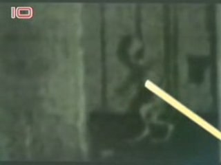 ALIEN?? CHUPACABRA??  fake ou pas fake???