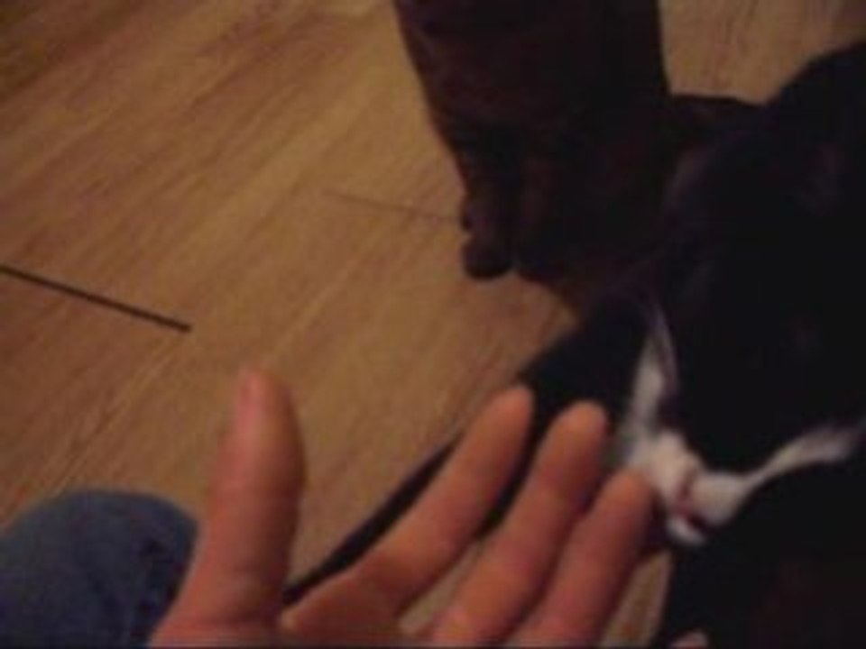DoushkaMangeMesDoigt