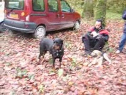 Teuf atn /dfc halloween