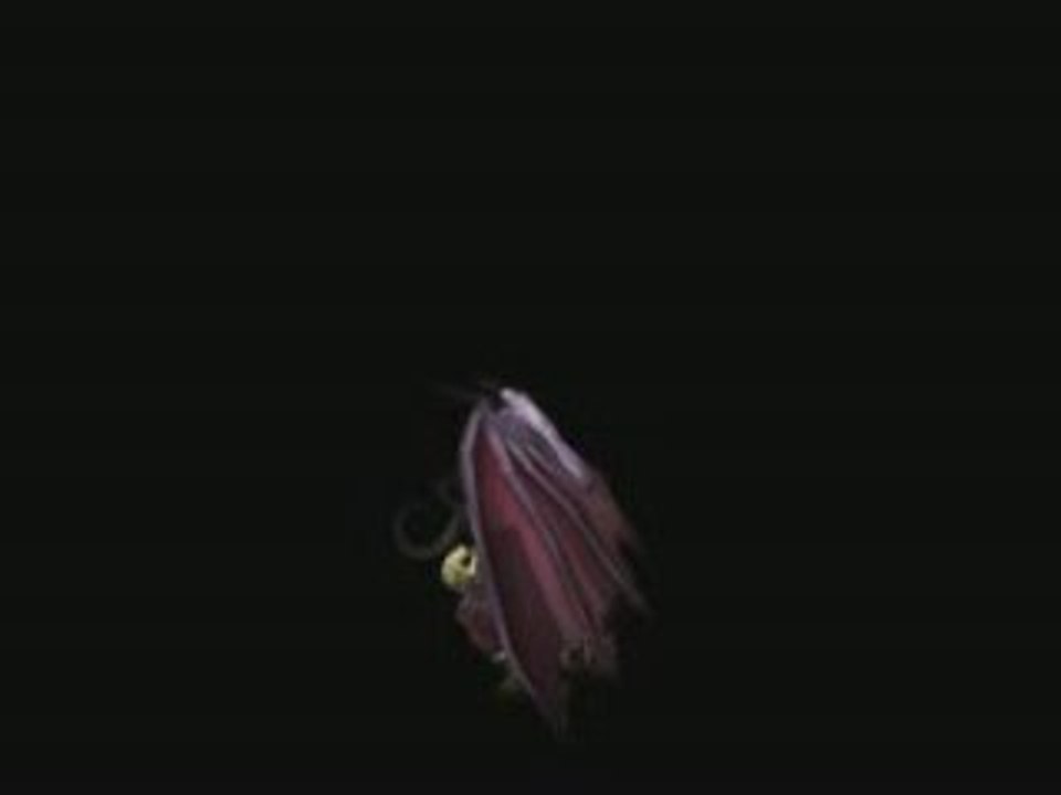 Akama's Revenge Trailer - by xEnOn