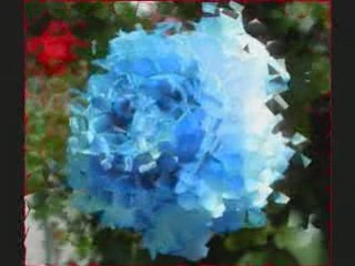 Neslihan fransizca Pour que tu m'aimes encore