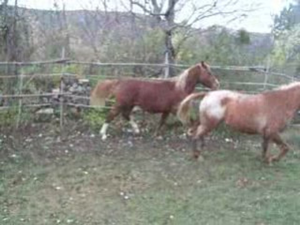 Ondée de combetuite