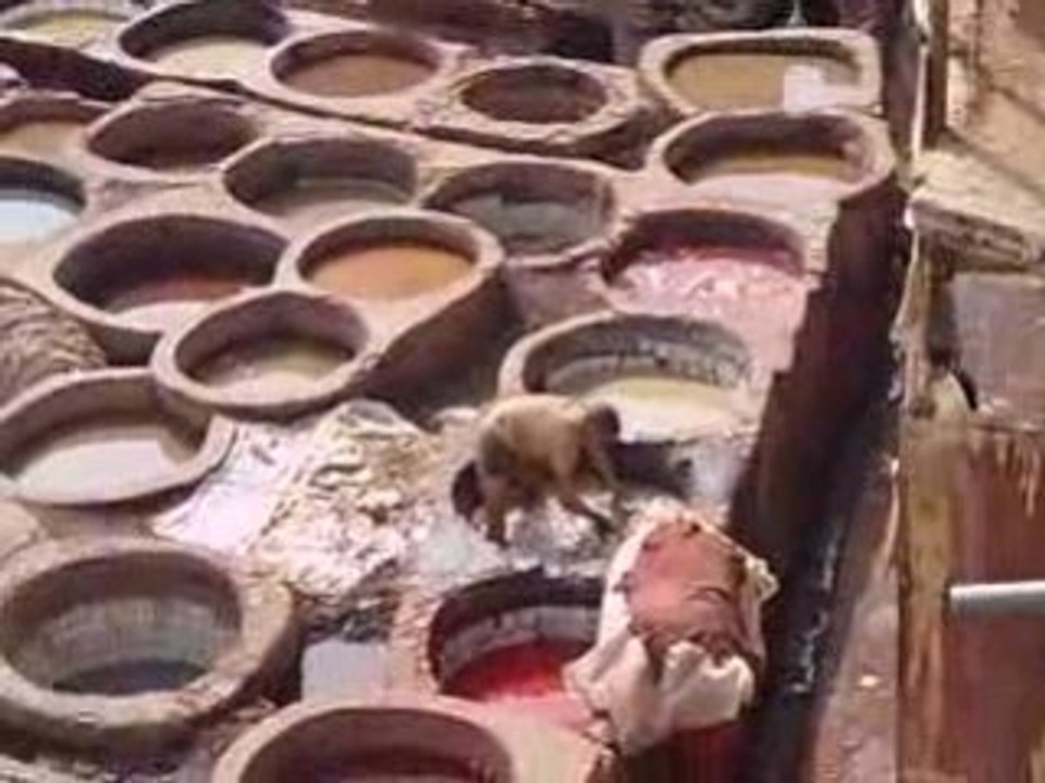 Tanneries - Fès - MAROC