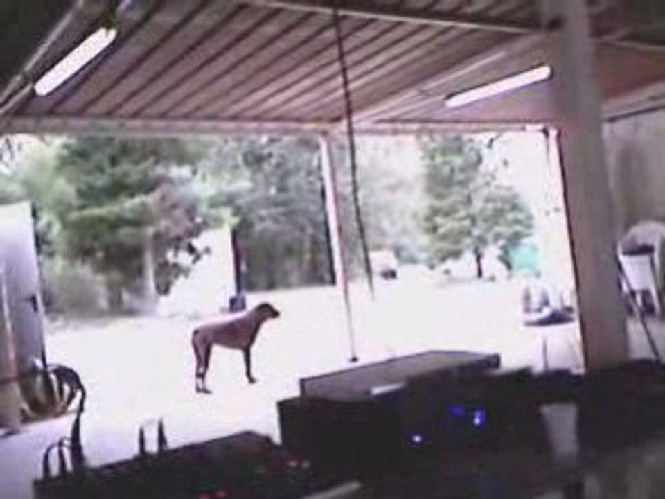 SansTitre_0007