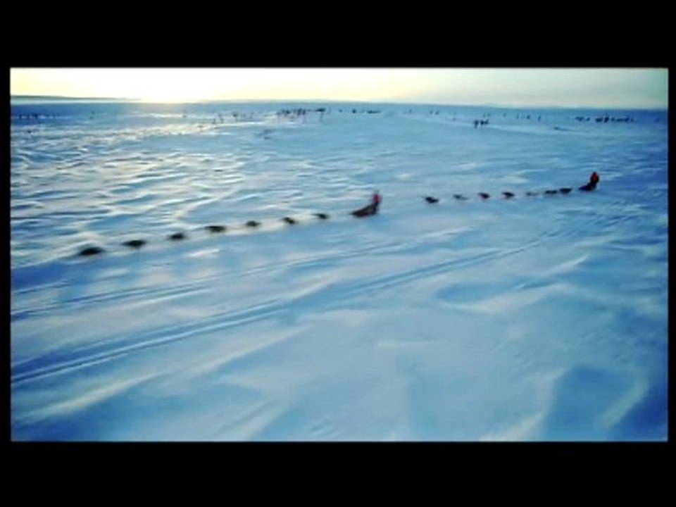 Jura Husky Family