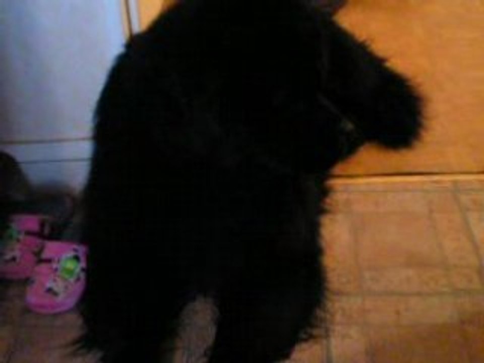 VICKY TU ME MANQUE