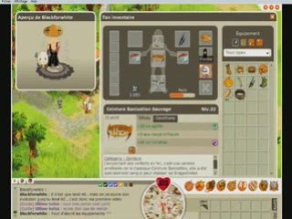 Blackforwhite sacrieur agilité lily lvl 40