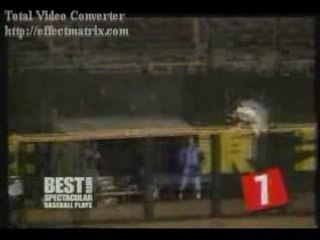 Amazing Baseball Catch