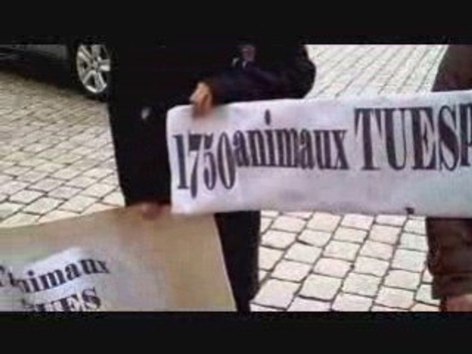 En deuil pour les animaux