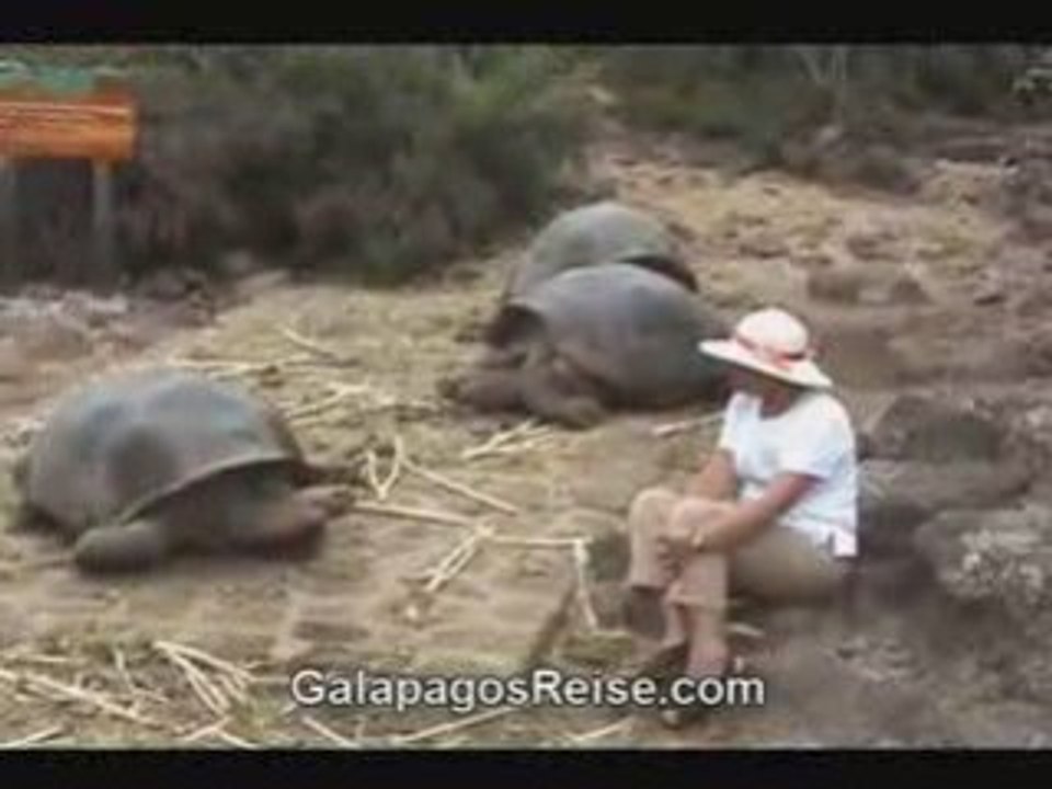 Charles Darwin Galapagos