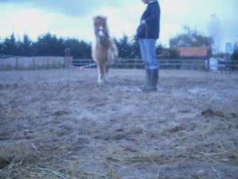 Ponette 1ere seance Octobre 2008