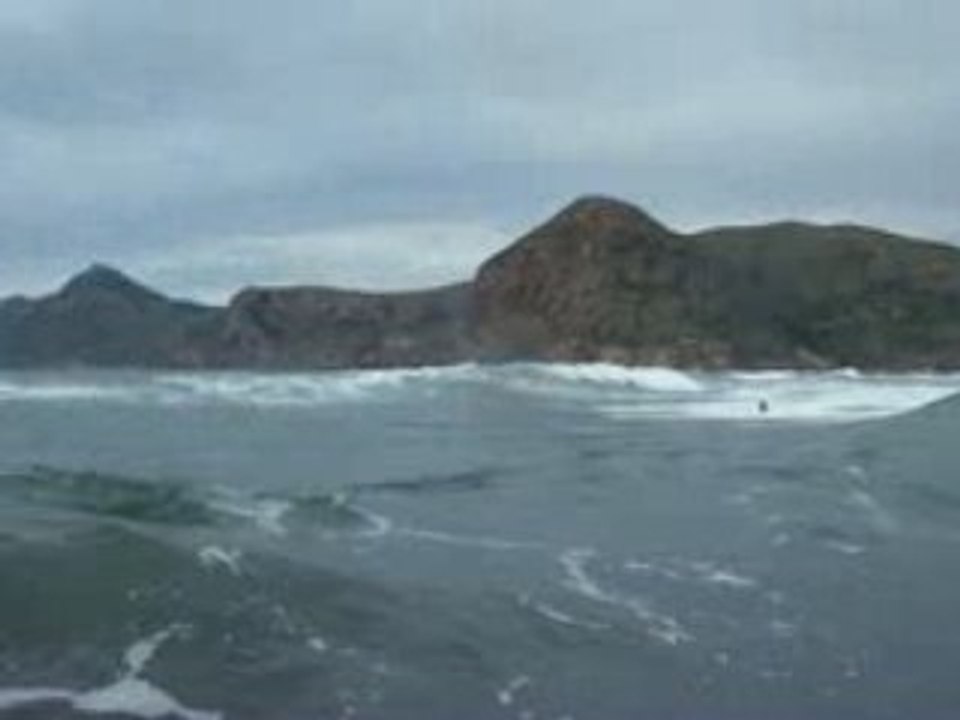 surf en portman