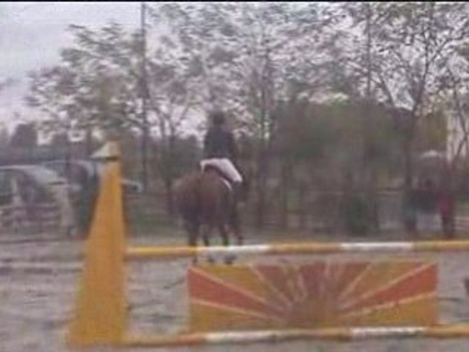 Sabine-concours 02-11-2008-cheval garonne